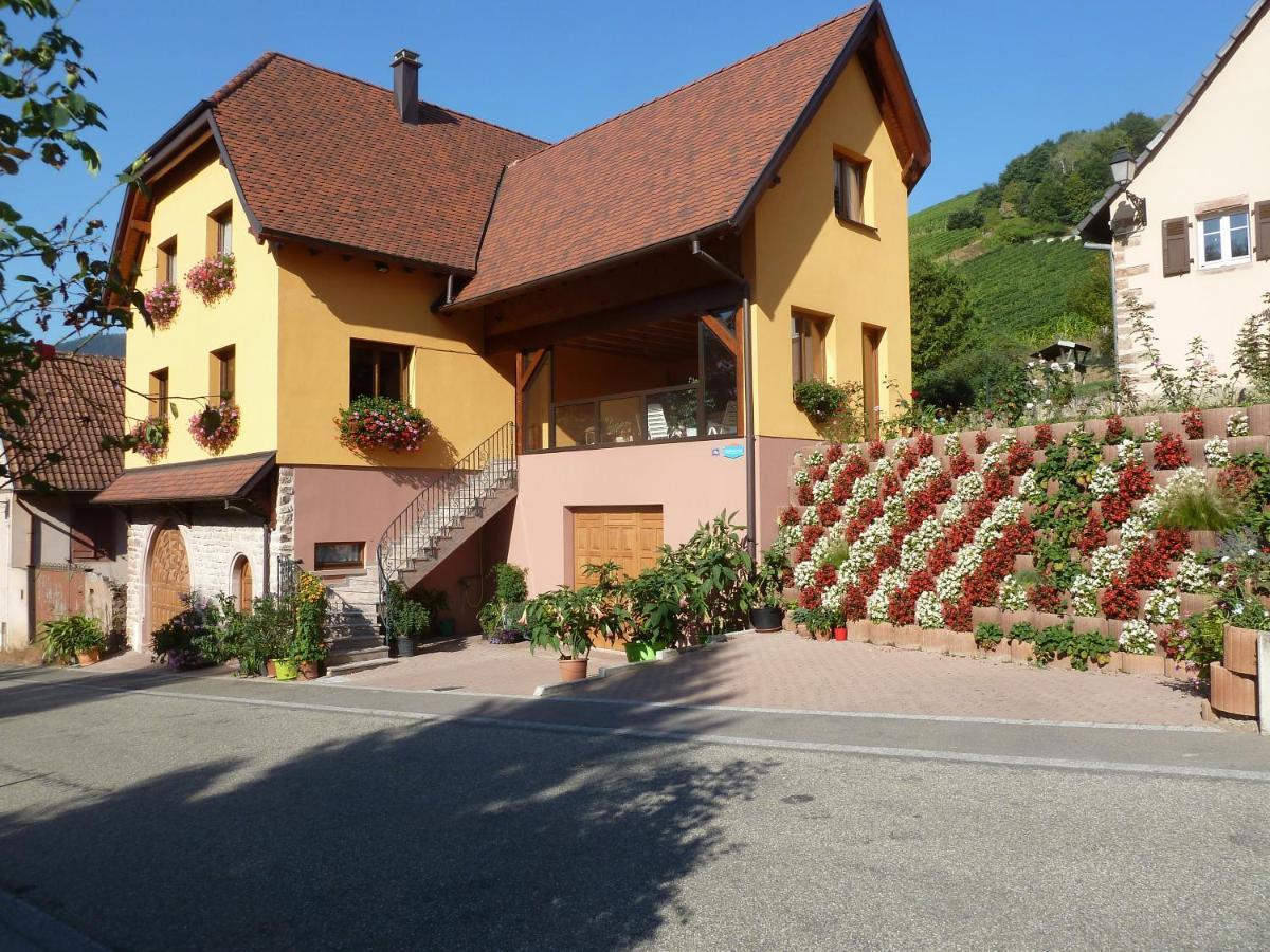 Schiefferberg Villa Bernardvillé Eksteriør billede