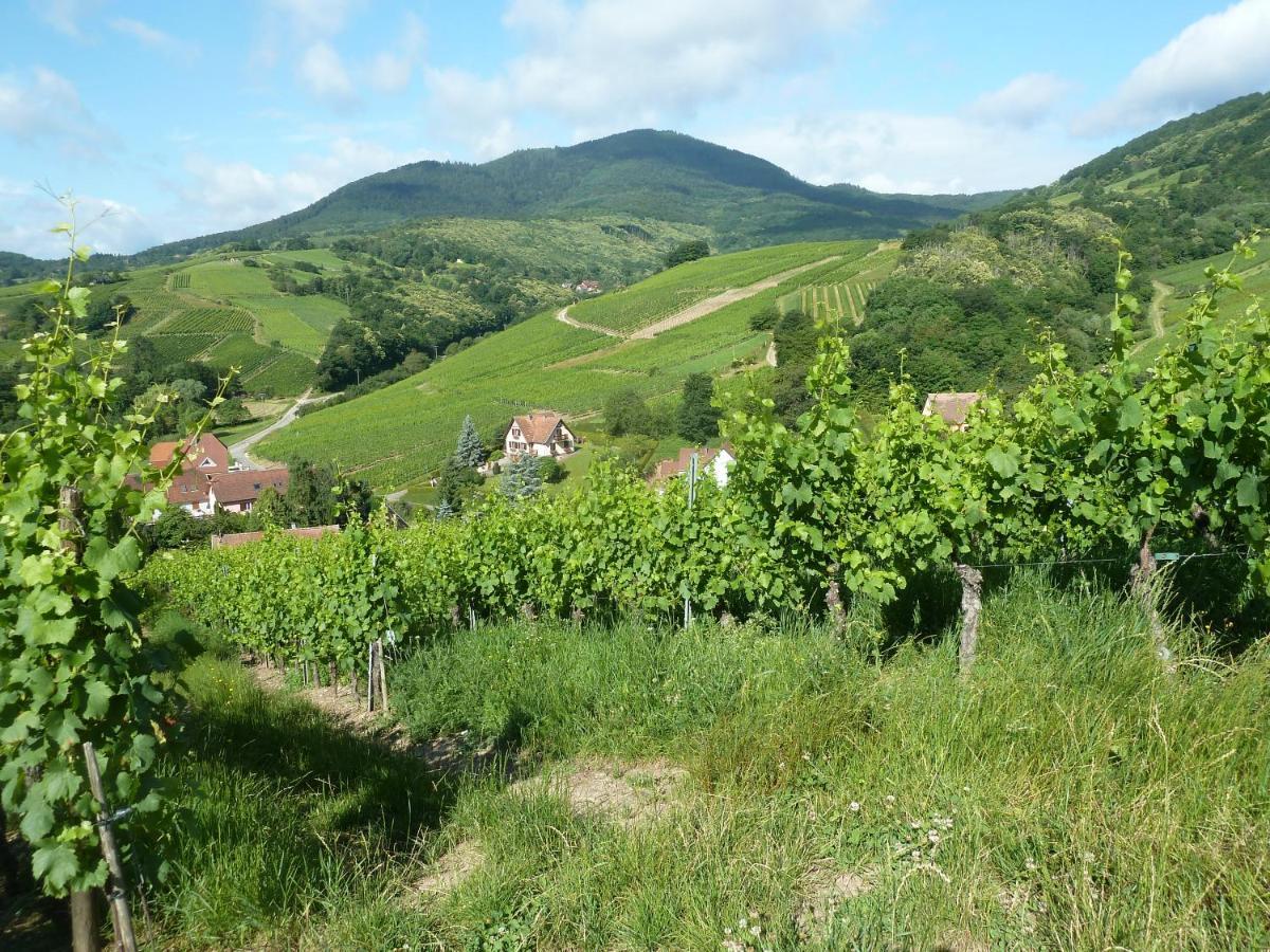 Schiefferberg Villa Bernardvillé Eksteriør billede